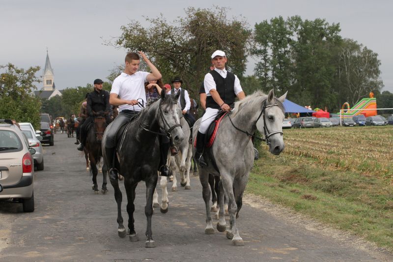 Kaczor w Jankowie Zaleśnym