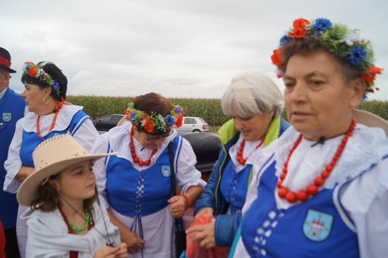 Kaczor w Jankowie Zaleśnym