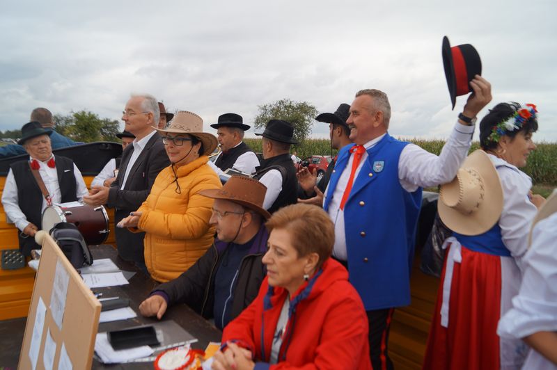 Kaczor w Jankowie Zaleśnym