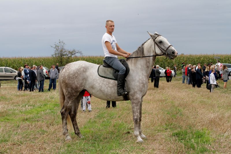 Kaczor w Jankowie Zaleśnym