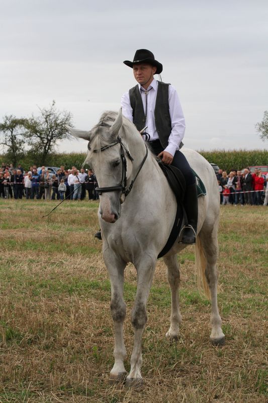 Kaczor w Jankowie Zaleśnym