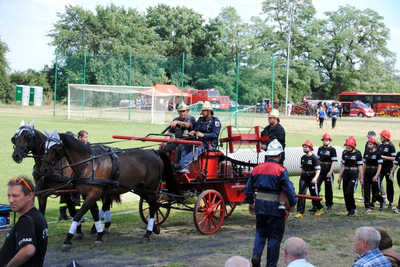 Sikawki konne w Raszkowie