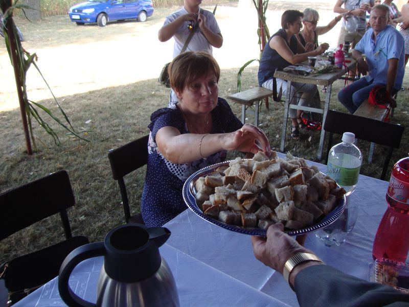 Dożynki wiejskie w Korytnicy