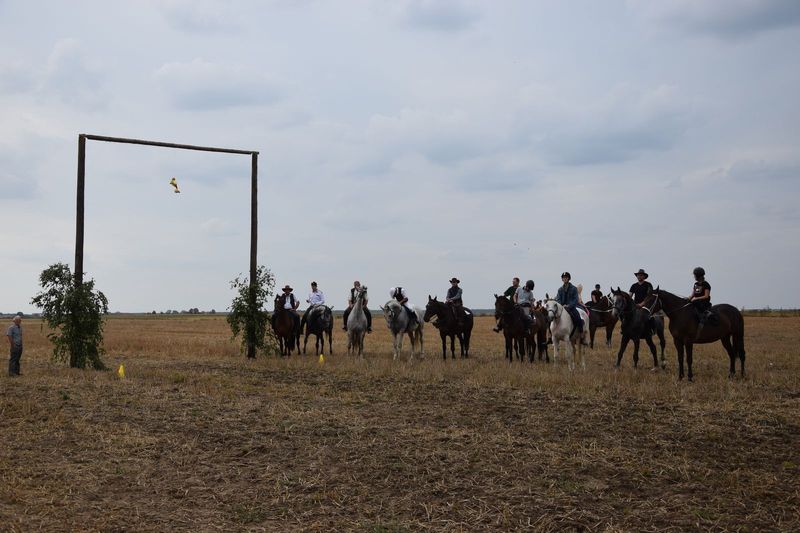 "Kaczor" w Jankowie Zaleśnym