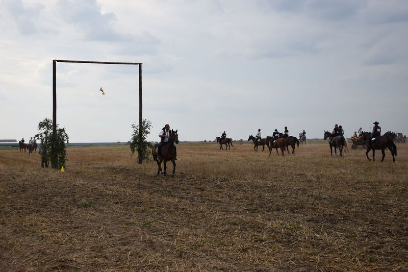 "Kaczor" w Jankowie Zaleśnym