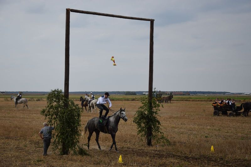 "Kaczor" w Jankowie Zaleśnym