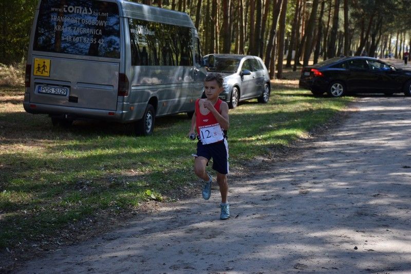 Uczniowie z SP Raszków znowu najlepsi w Powiecie Ostrowskim