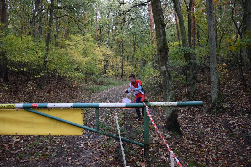 Sukces uczniów z SP Raszków! Chłopcy awansowali do Mistrzostw Świata Szkół w biegach na orientację!