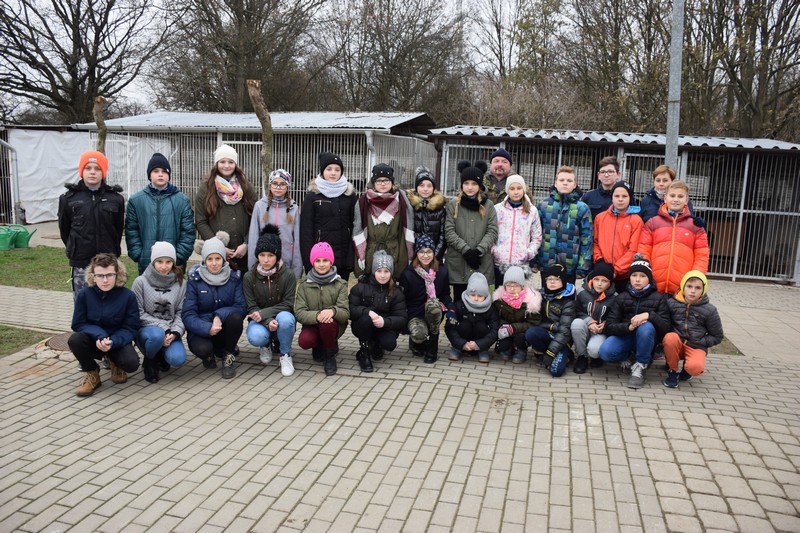 1601 kilogramów to nowy rekord zbiórki karmy dla Schroniska Zwierząt w Wysocku Wielkim!