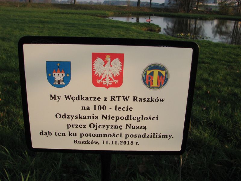 Dąb na rocznicę odzyskania niepodległości	