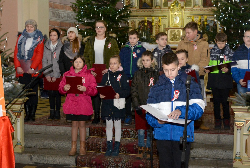 Apel Niepodległościowy OSP w Jankowie Zaleśnym