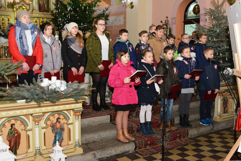 Apel Niepodległościowy OSP w Jankowie Zaleśnym