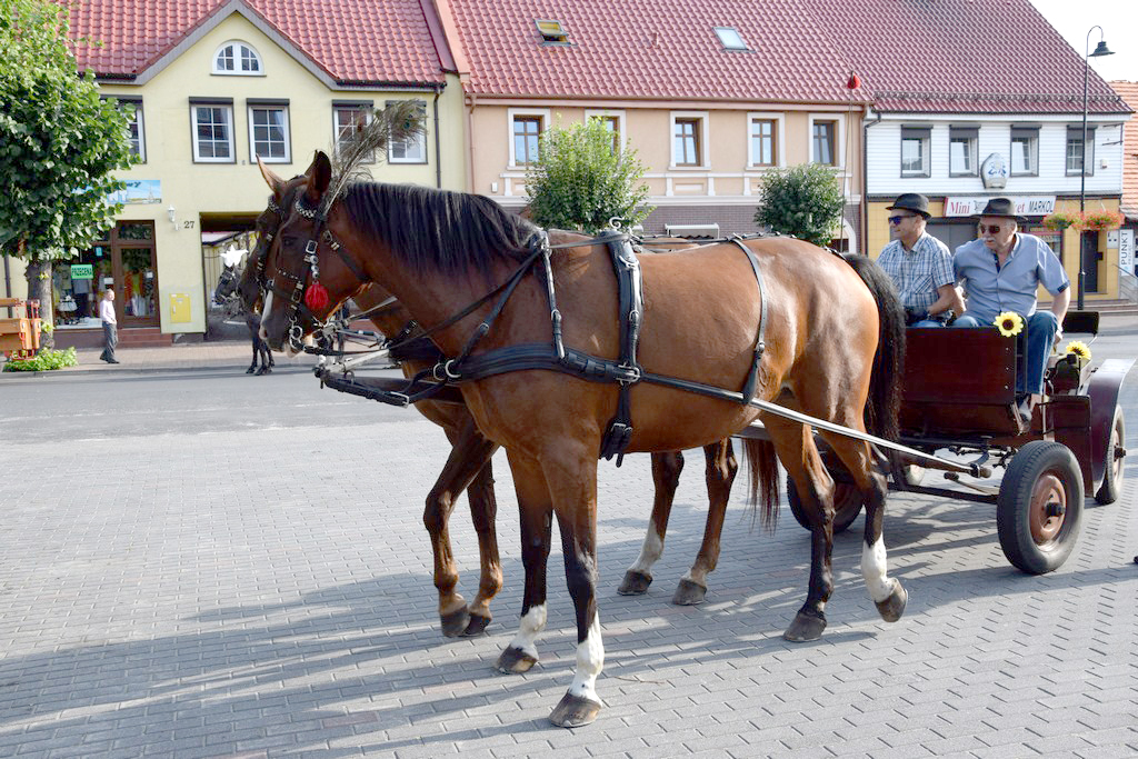 Dożynki Gminne Raszków 2019