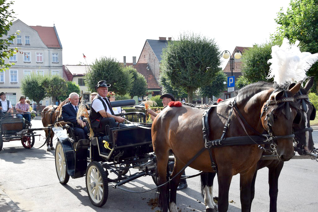 Dożynki Gminne Raszków 2019