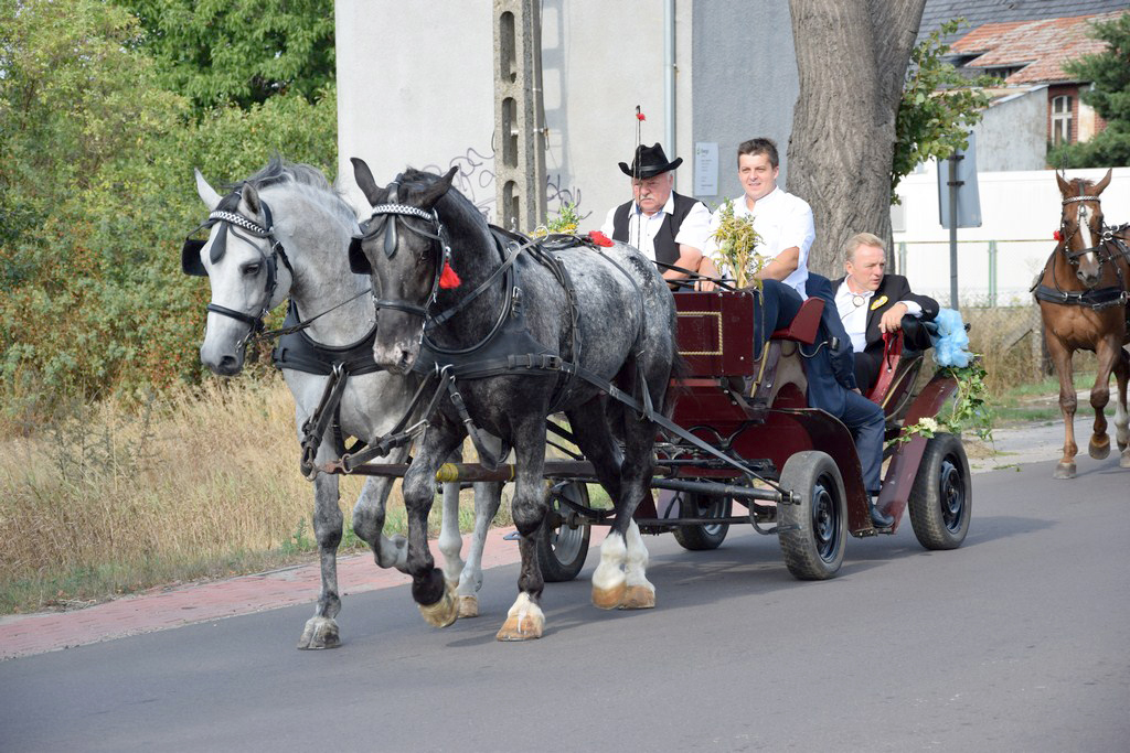 Dożynki Gminne Raszków 2019