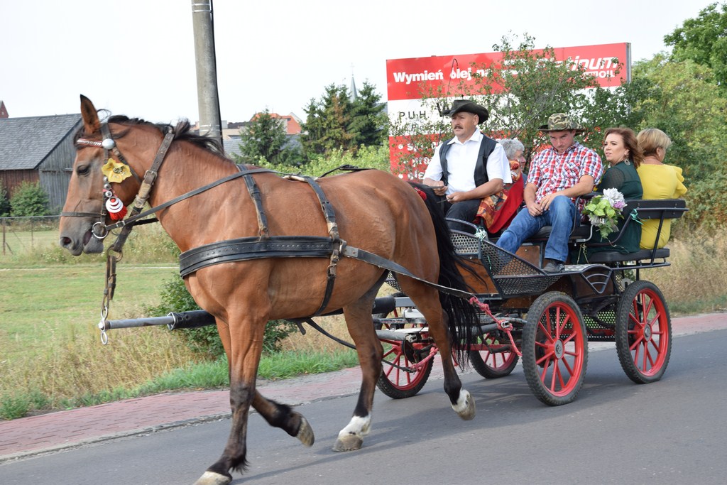 Dożynki Gminne Raszków 2019