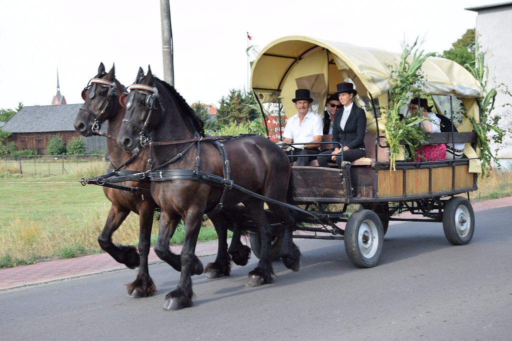 Dożynki Gminne Raszków 2019