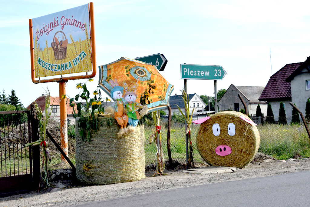 Dożynki Gminne Raszków 2019