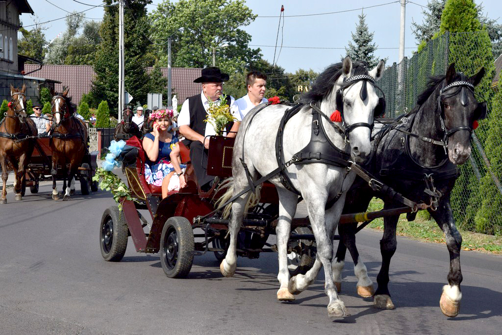 Dożynki Gminne Raszków 2019