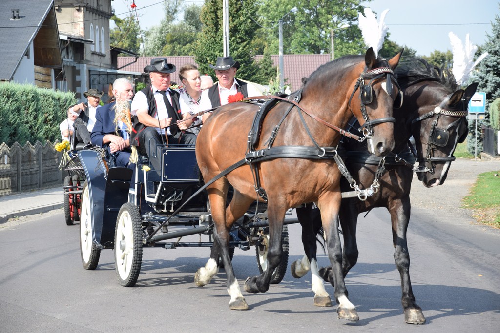 Dożynki Gminne Raszków 2019