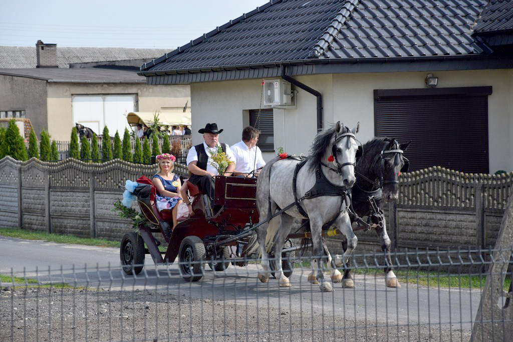 Dożynki Gminne Raszków 2019