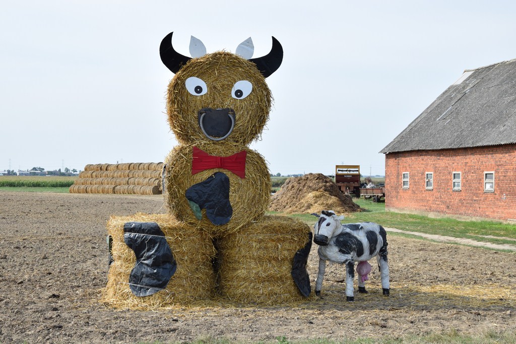 Dożynki Gminne Raszków 2019