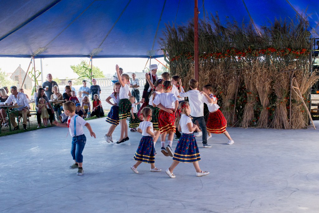 Dożynki wiejskie Głogowa 2019