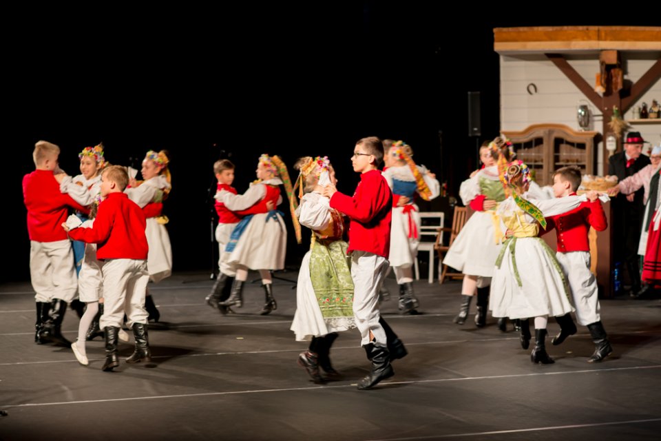 "Mięsopusty w głogowskiej karczmie". Koncert jubileuszowy z okazji 10- lecia Zespołu Tańca Ludowego Głogowianie.