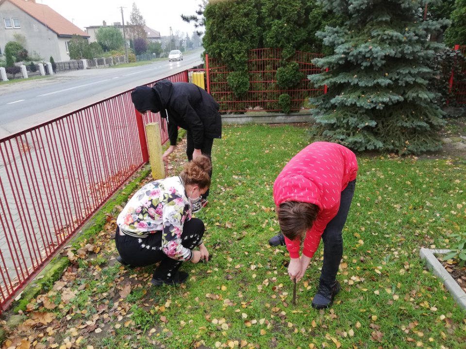 Projekt "Krokus"