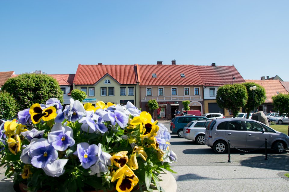 Kwiaty na rynku w Raszkowie – zrobiło się kolorowo.