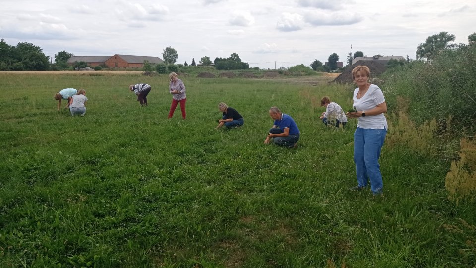 Warsztaty ziołowe w Starej Oborze