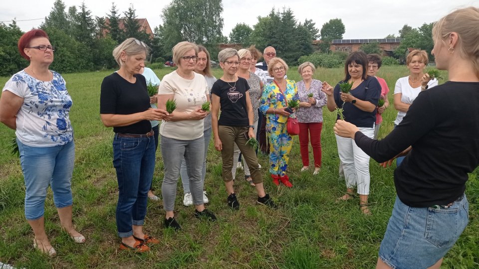 Warsztaty ziołowe w Starej Oborze