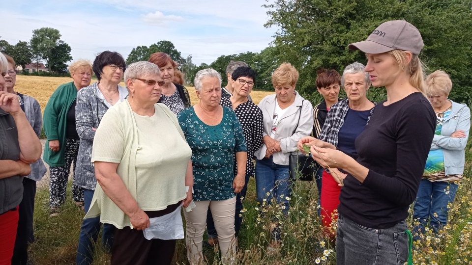 Warsztaty ziołowe w Starej Oborze