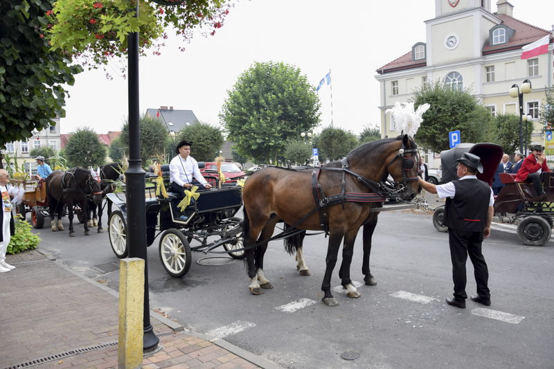 Dożynki Gminne - czas radości i podziękowań