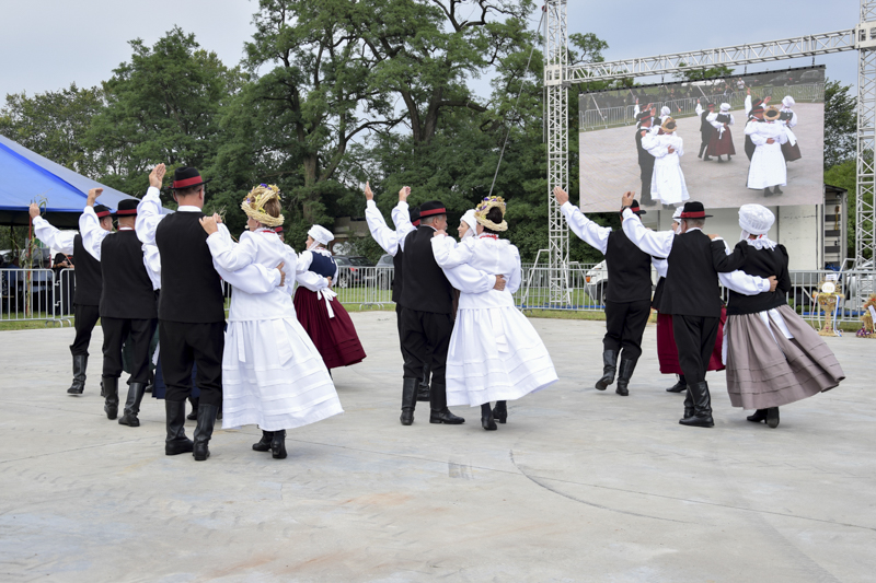 Dożynki Gminne - czas radości i podziękowań