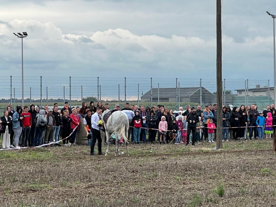 Turniej Zrywania Kaczora w Jankowie Zaleśnym