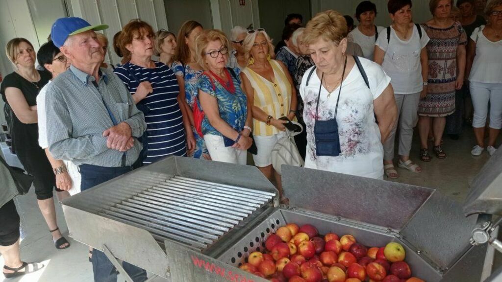 Seniorzy na Śliwkowym Szlaku