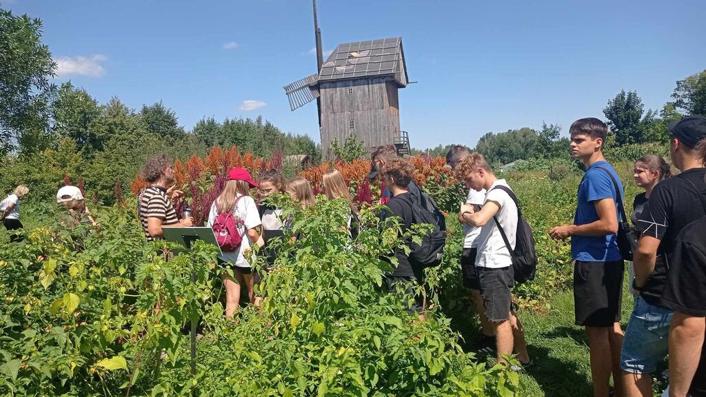 Kolonie w Wasilkowie