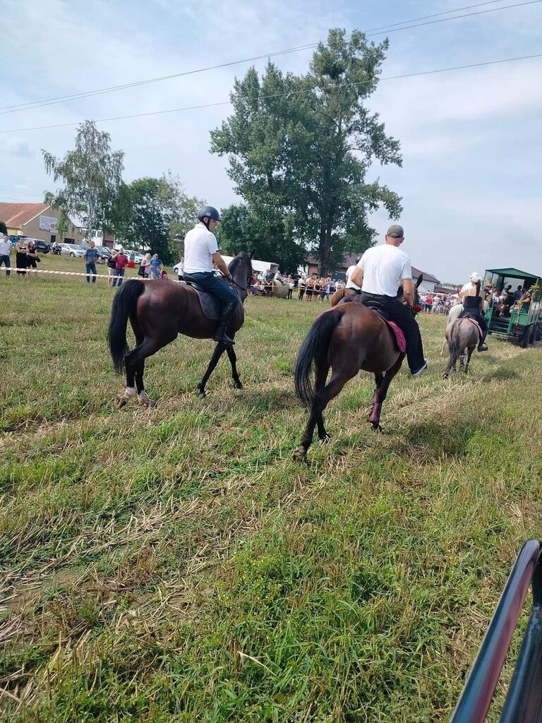 Turniej Zrywania Kaczora w Jankowie Zaleśnym