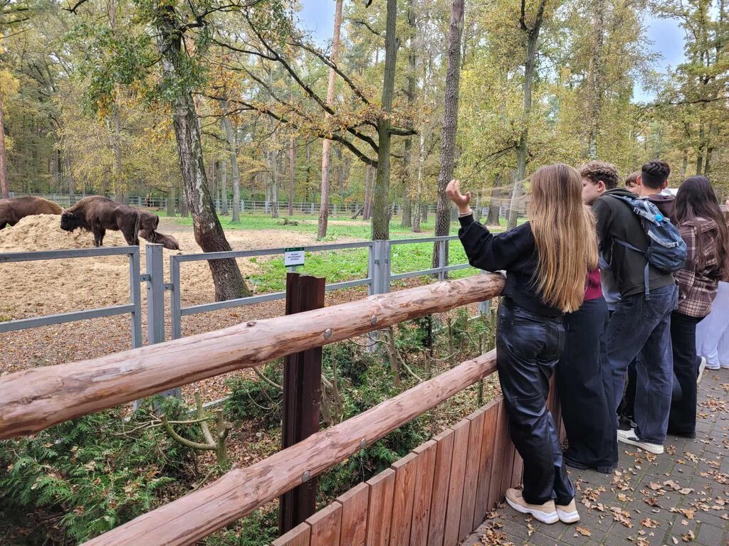 Łączy nas taniec - polsko-ukraińska wymiana młodzieży