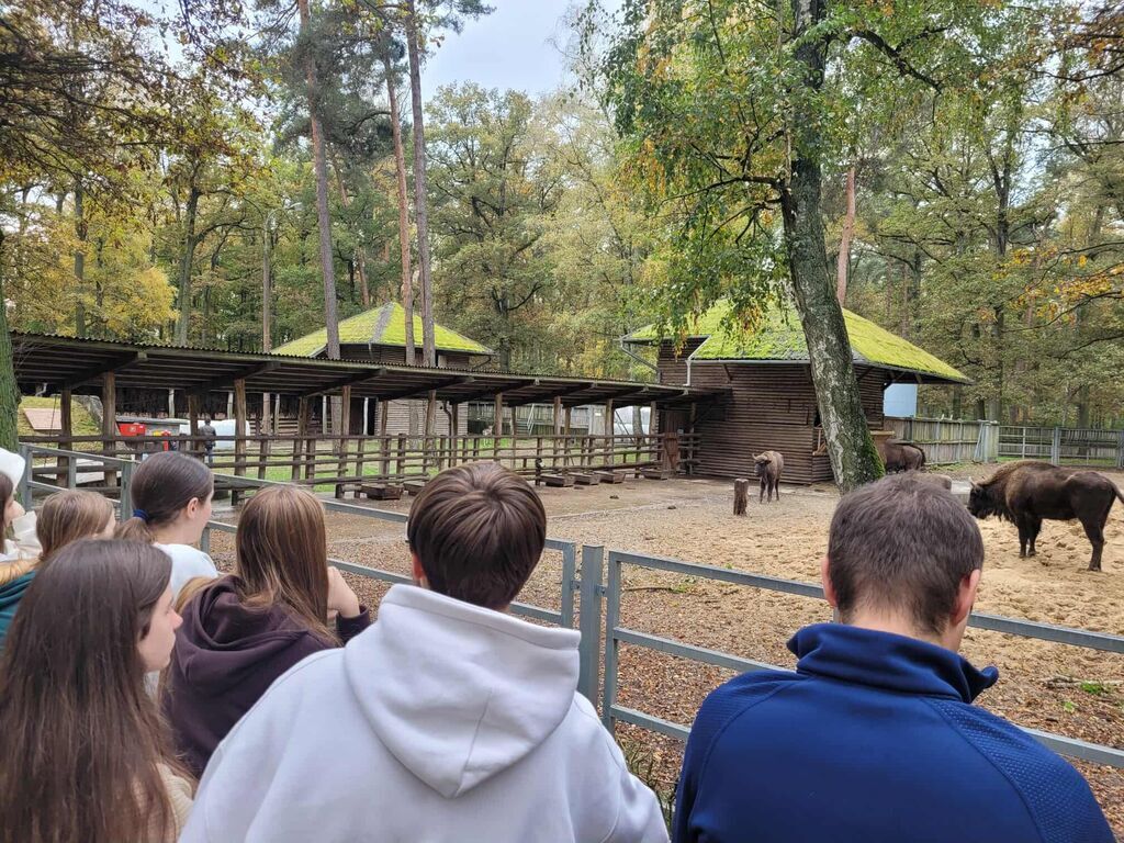Łączy nas taniec - polsko-ukraińska wymiana młodzieży