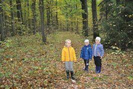 Przedszkolaki ze Stanowic na wycieczce w lesie
