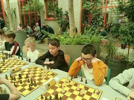 Strzegomscy szachiści rywalizowali w Żarowie