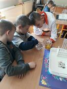 „Szkolny piknik naukowy” w PSP w Kostrzy