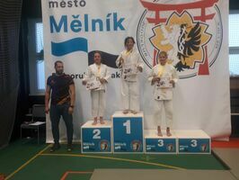 Turniej judo w czeskim Melniku