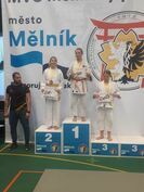 Turniej judo w czeskim Melniku