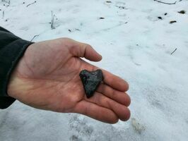 „Pierwszy Walentynkowy Rajd Górnika” w Zespole Szkół w Strzegomiu