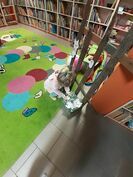 „Światowy Dzień Kota” w ramach zajęć „Brzdąc w bibliotece”