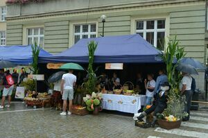 Święto plonów za nami