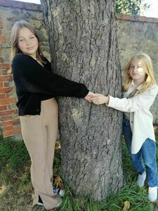 Uczymy się kochać drzewa